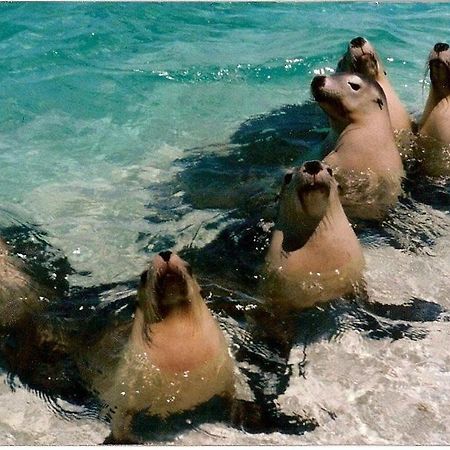 Centre Break Beach Stay Green Head エクステリア 写真